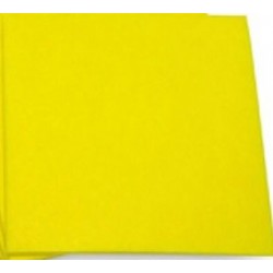 Limpión (paño) Absorbente