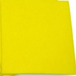 Limpión (paño) Absorbente